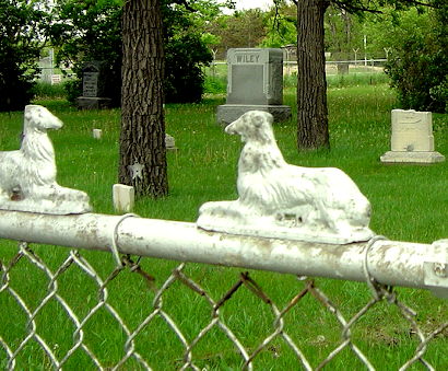 cemetery dogs.jpg